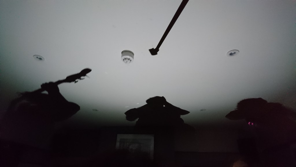 The Great Escape Festival – What went&nbsp;down?