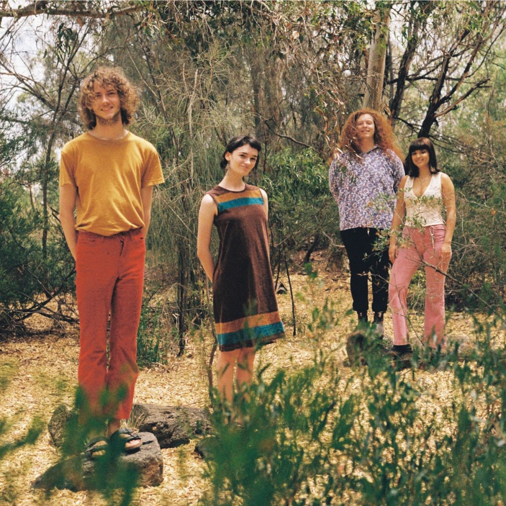 Sunfruits deliver the psych-disco of ‘Mushroom&nbsp;Kingdom’.